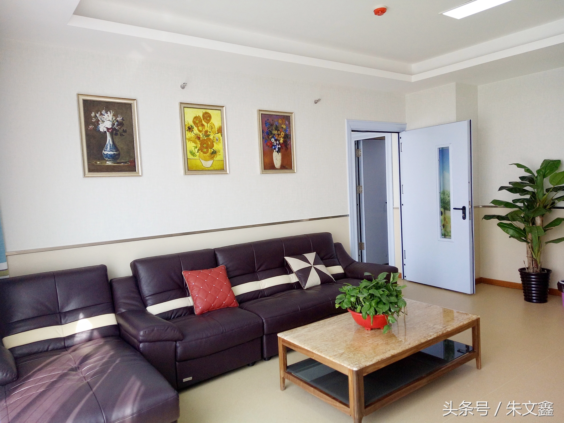 群雁高飞头雁领什么意思,群雁高飞