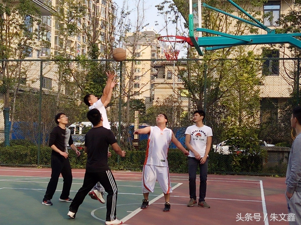 群雁高飞头雁领什么意思,群雁高飞