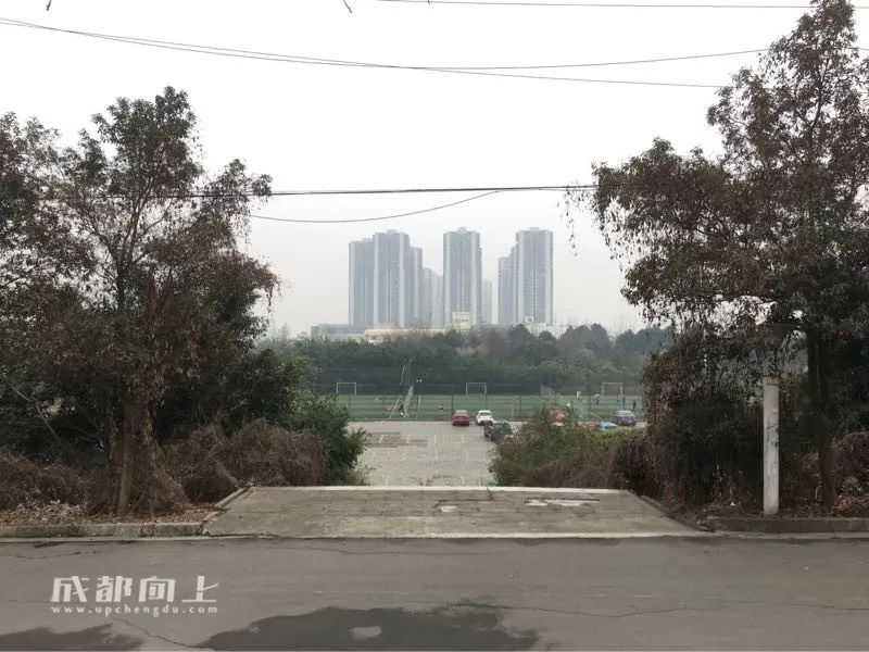 锦江区的核心地段，没想到现在是这样