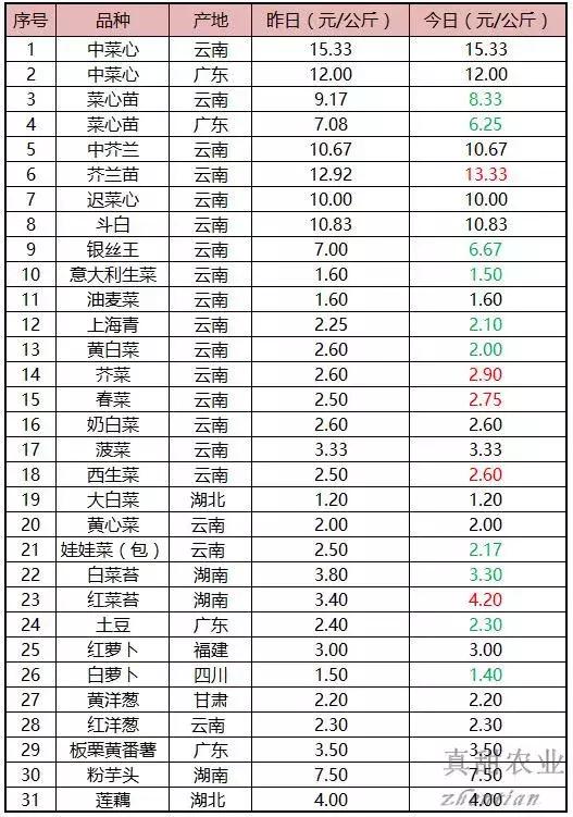 北京鼎丰生菜种子,专注成就专业品质铸就品牌