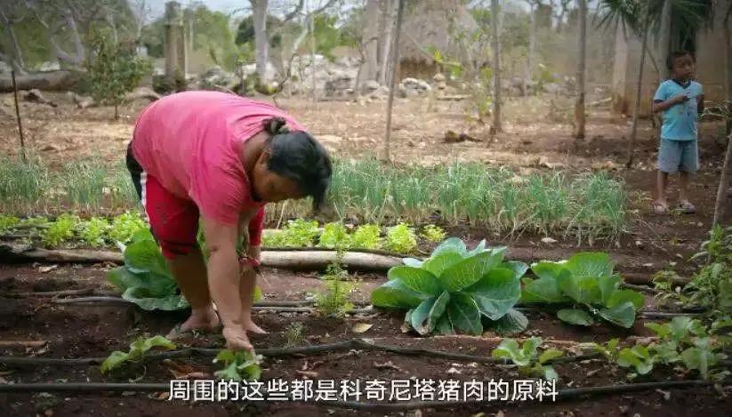 堪比舌尖上的中国的美食纪录片,豆瓣评分8以上的美食电视剧