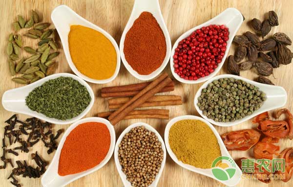 3月14日五大药材市场行情及报价