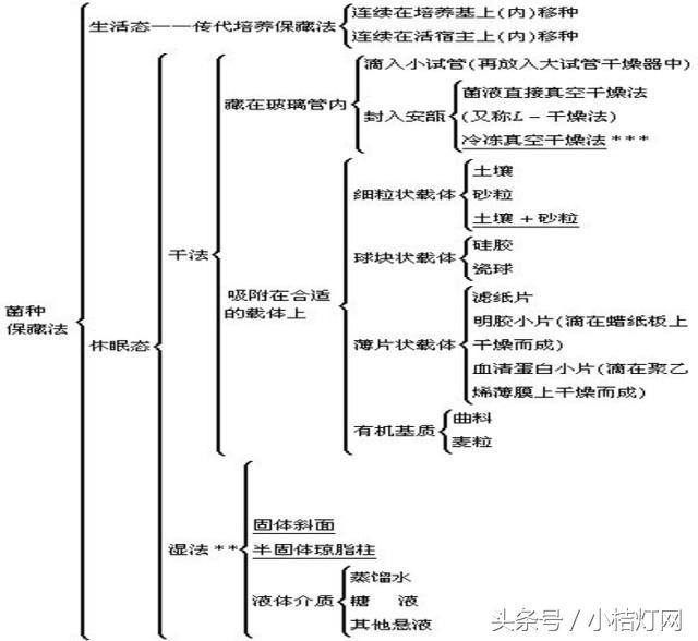 ivd专业知识,ivd相关知识