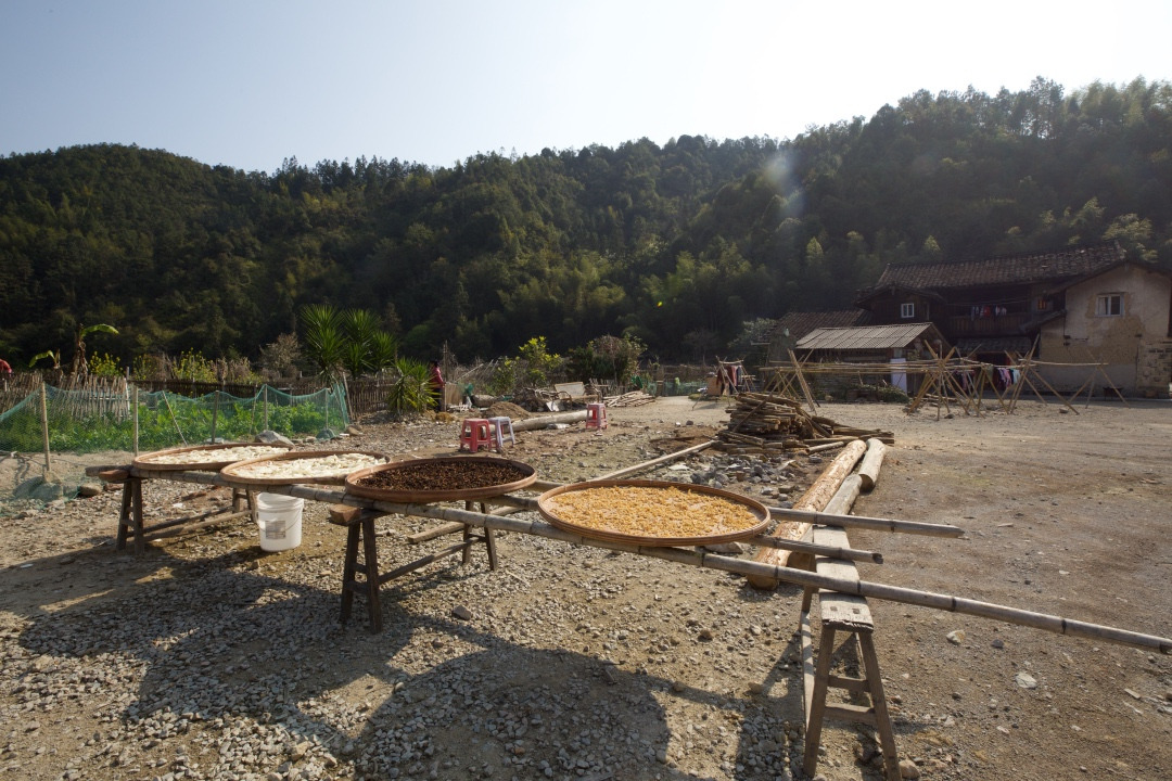 福建土楼你不知道的,福建土楼是否值得看