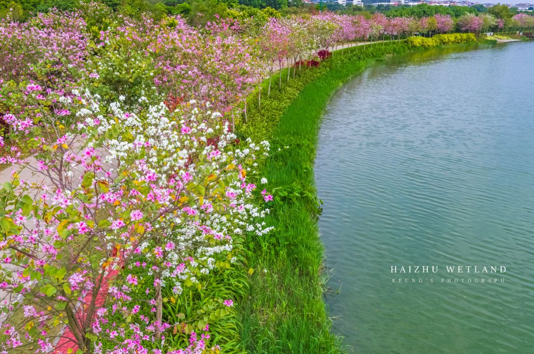 深圳2小时内周边自驾游,深圳爬山看海攻略旅游线路