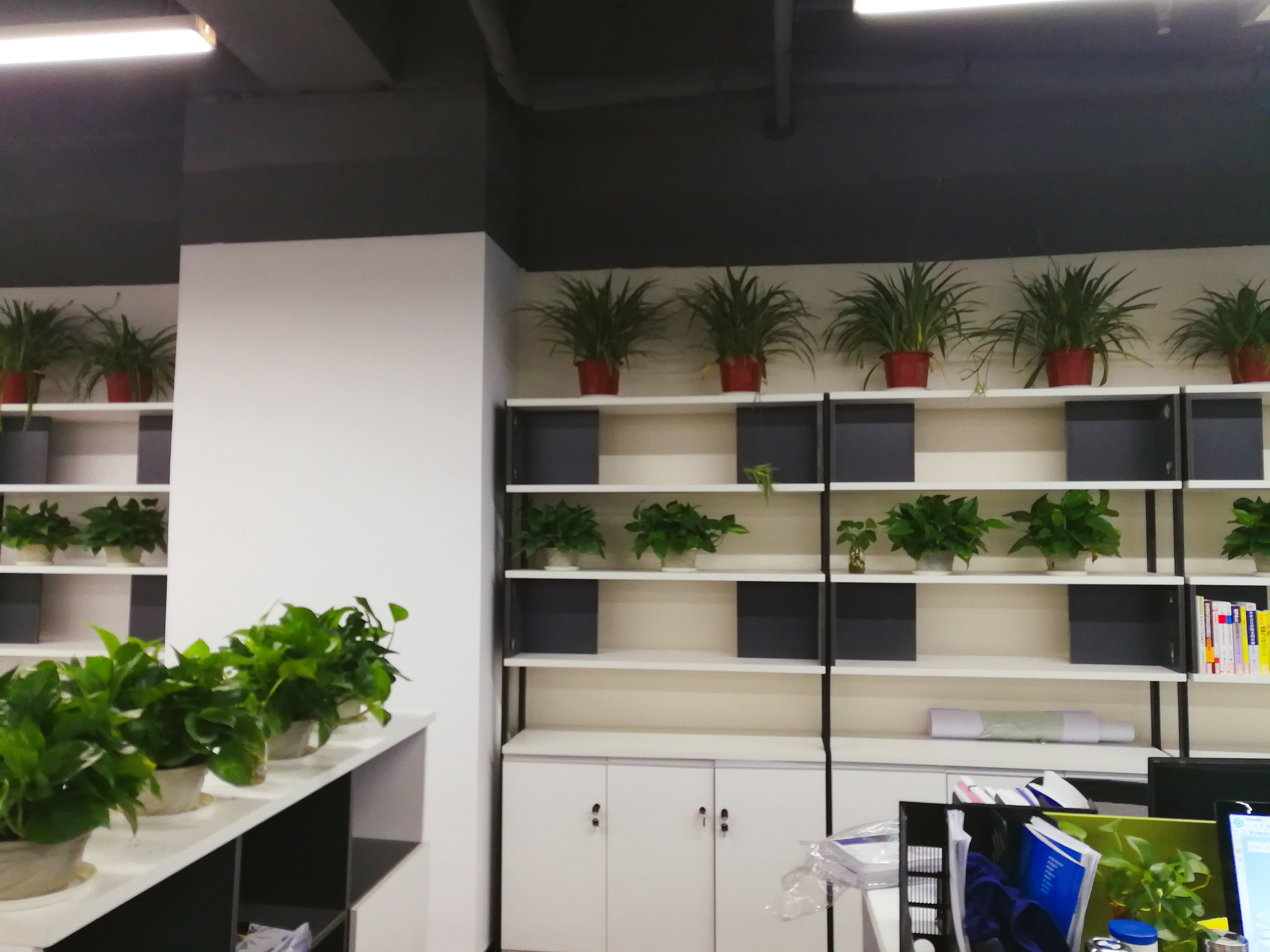 上元教育最新信息,上元教育学历提升无锡