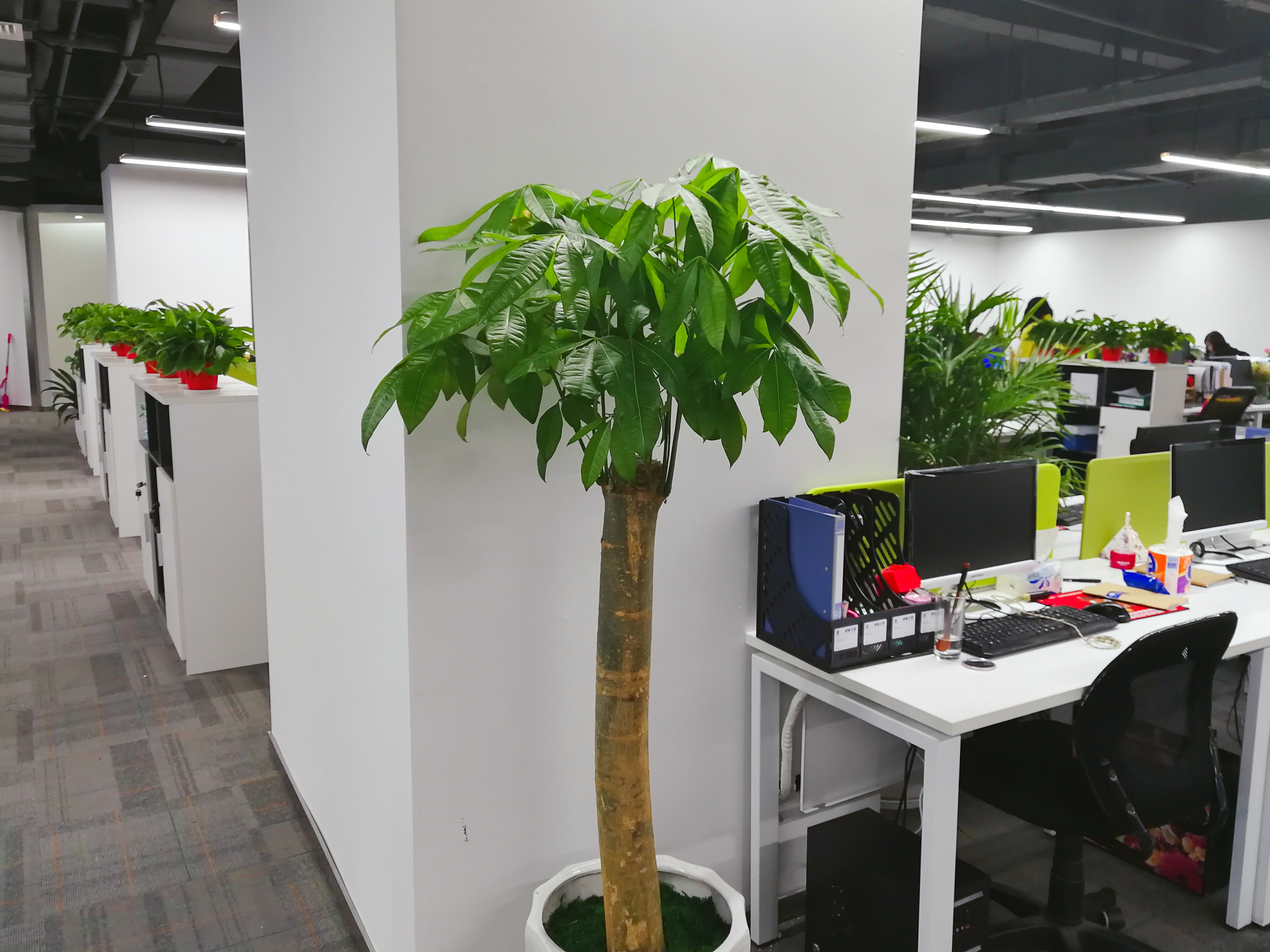 上元教育最新信息,上元教育学历提升无锡