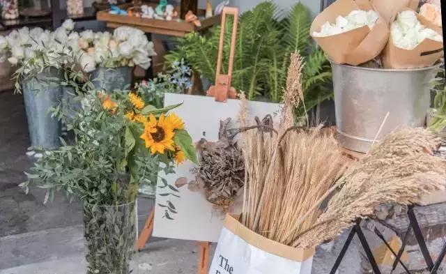 厦门奇怪的花店,厦门比较有名的绿植花店