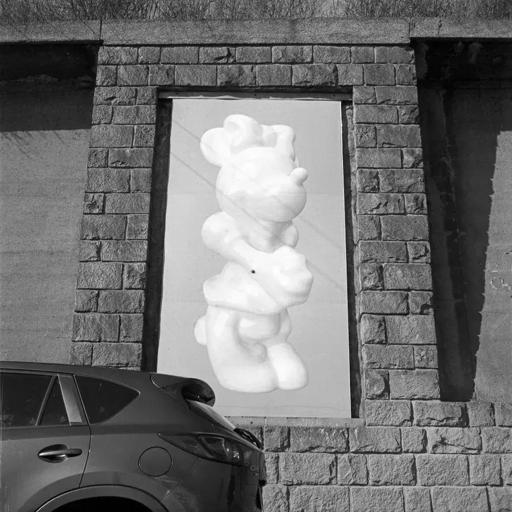 特殊的展览视频,特殊的展览