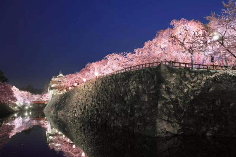 最美樱花季，国内外赏樱攻略在此！好看，好吃，好买！