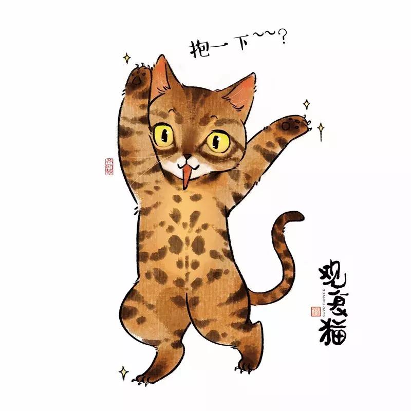 短腿柯基怎么吃狗粮,柯基腿短还是斗牛犬腿短