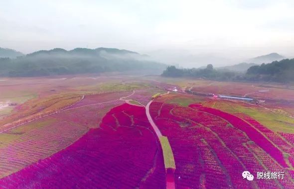 一秒钟搞定“花痴”攻略，别说我没帮你~