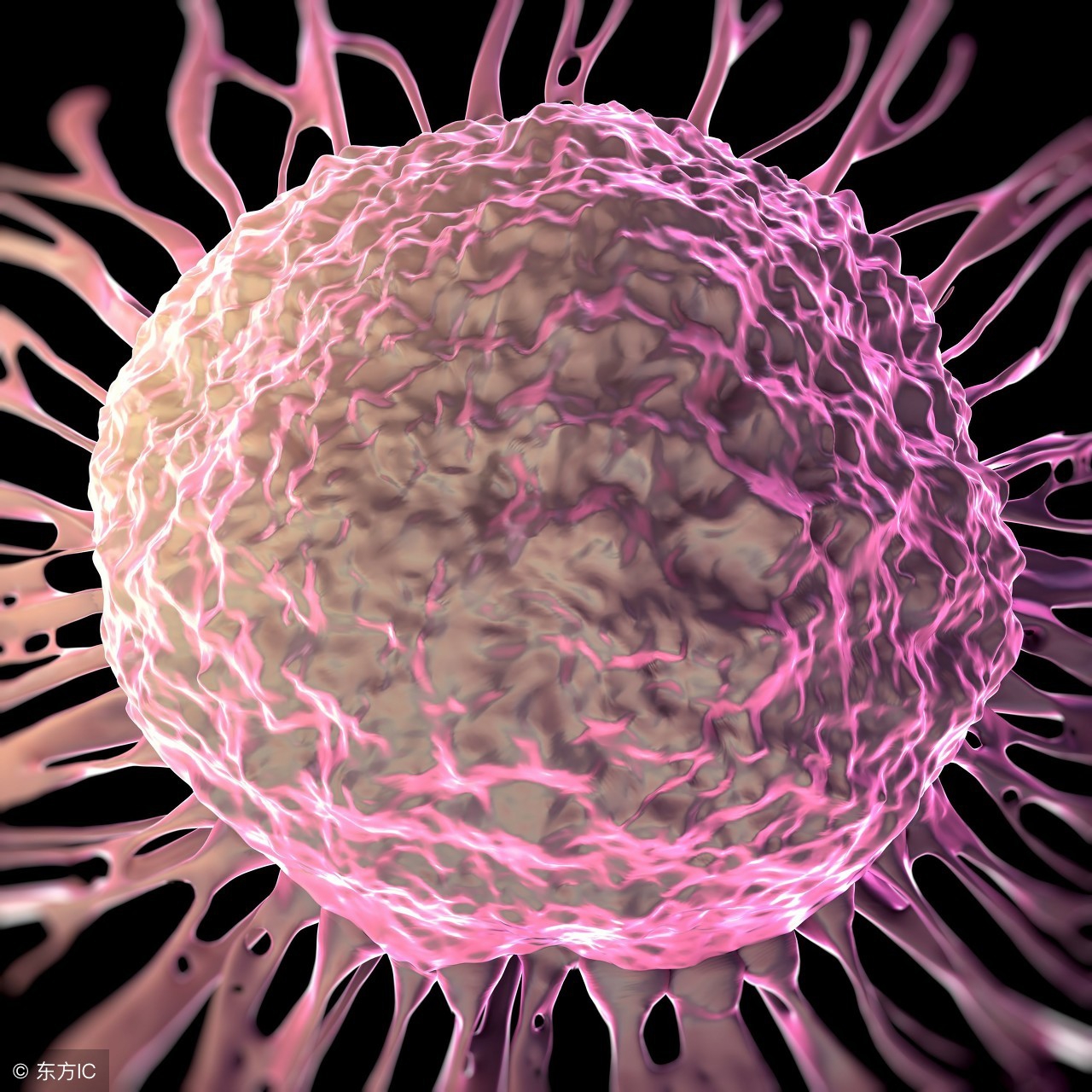 恶性肿瘤属于癌症晚期了吗,肾上恶性肿瘤切除后能活多久