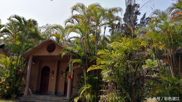 雷州乌石天成台旅游攻略,广东雷州市乌石镇旅游攻略