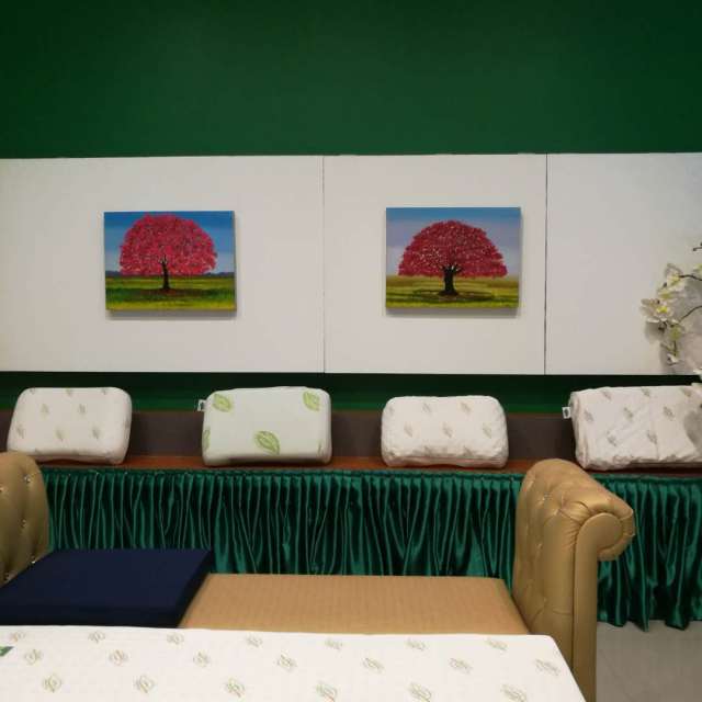 napattiga乳胶枕最新版本,napattiga乳胶枕泰国