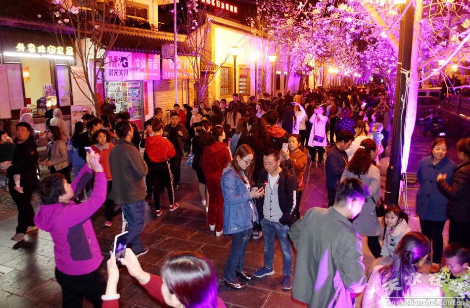 天水玉兰古巷全景图,天水玉兰古巷快闪视频