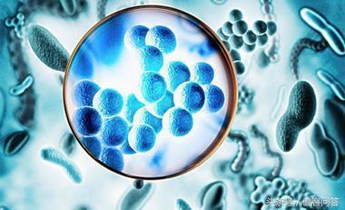 现在普遍的女性疾病,普遍的女性疾病