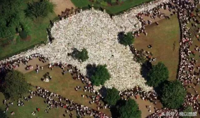 希拉里和本拉登合影,希拉里本拉登