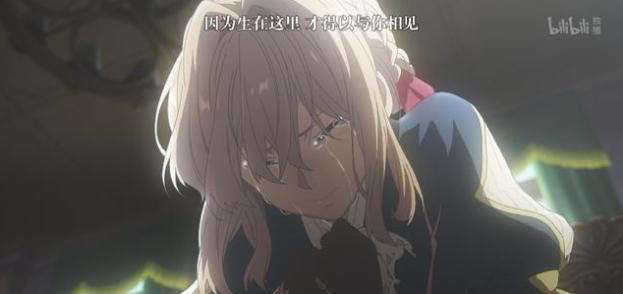 现在的京紫怎么样了,京紫完整版