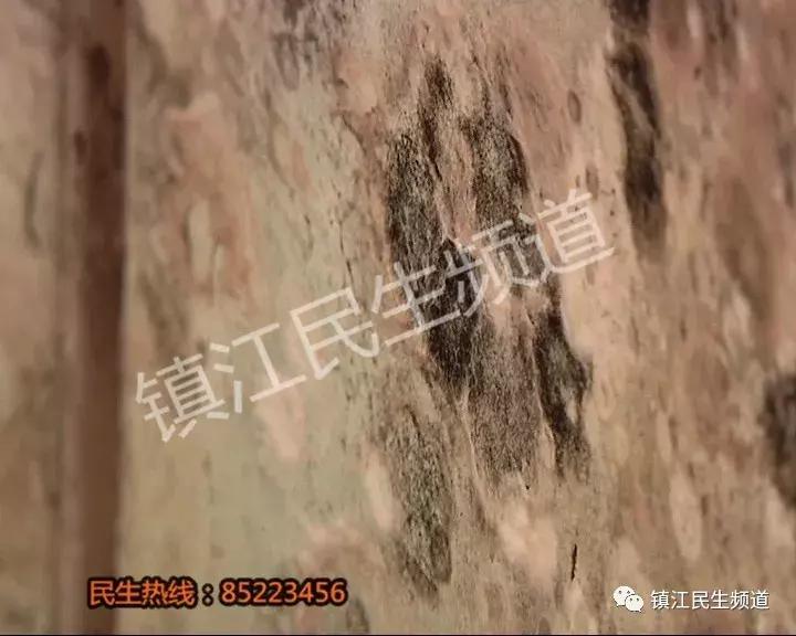 60多万在宝龙花园买的房子,记者进屋看了一眼差点吐了!