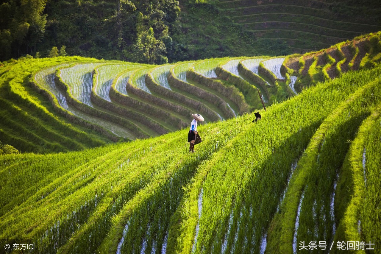 办公室风水简单易懂的招财法,办公室招财风水6大妙招