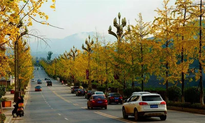 大山里的烟火人家,大巴山区通江县
