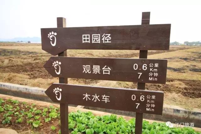 黄沙蚬新会,江门新会黄沙蚬季节