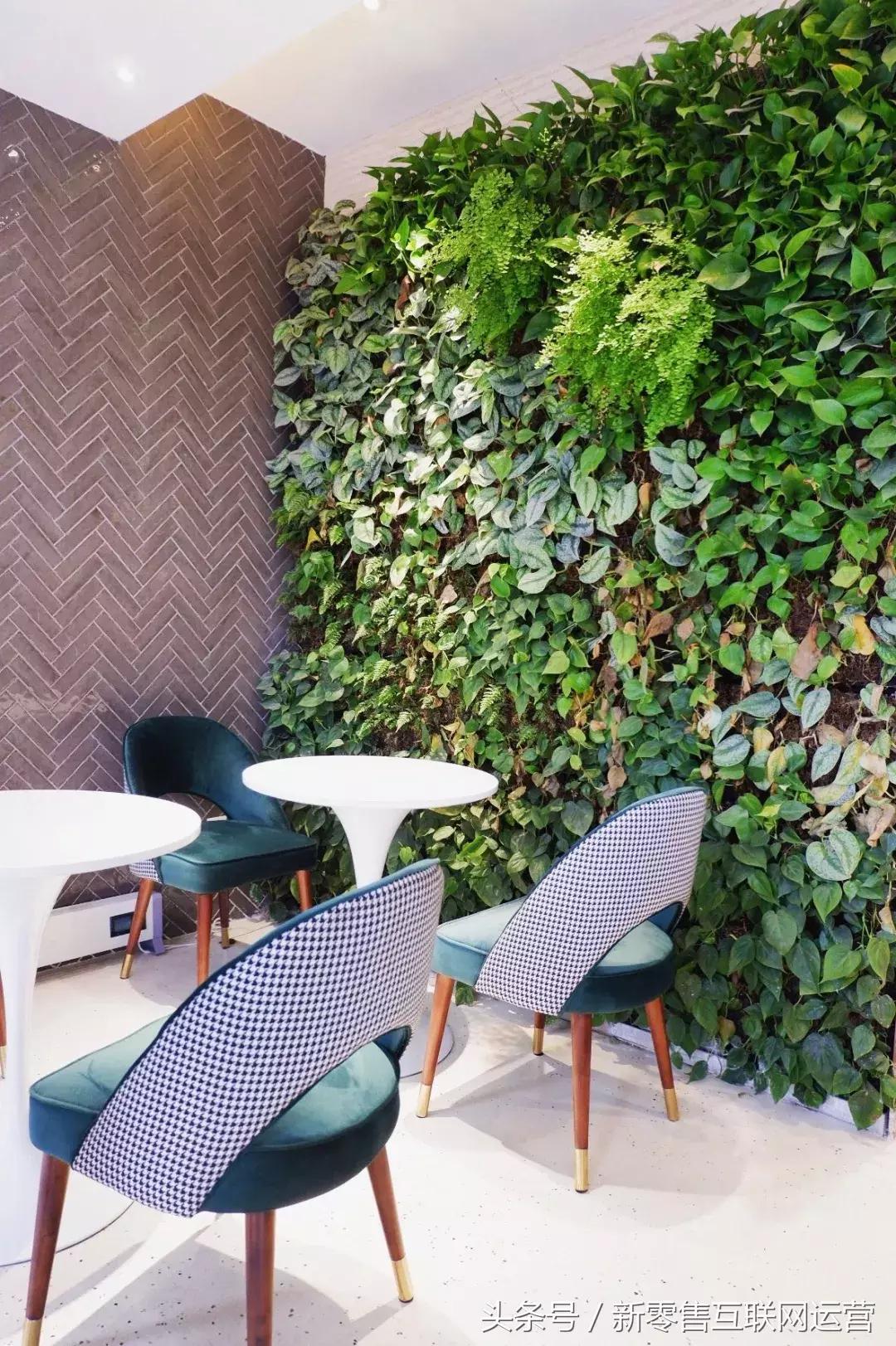 杭州悄悄地开了家“好好食”的酒吧，一盘麻婆豆腐意面吃哭你