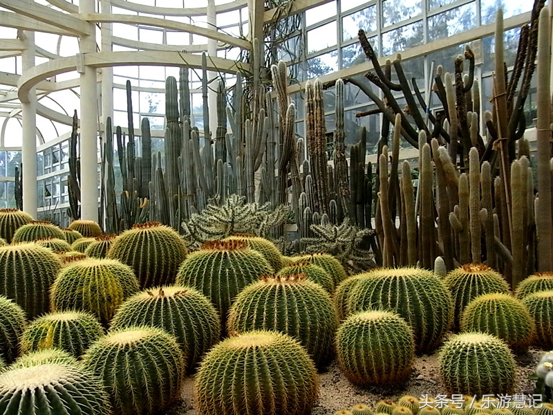 我的四天三夜厦门之旅,我的厦门之旅