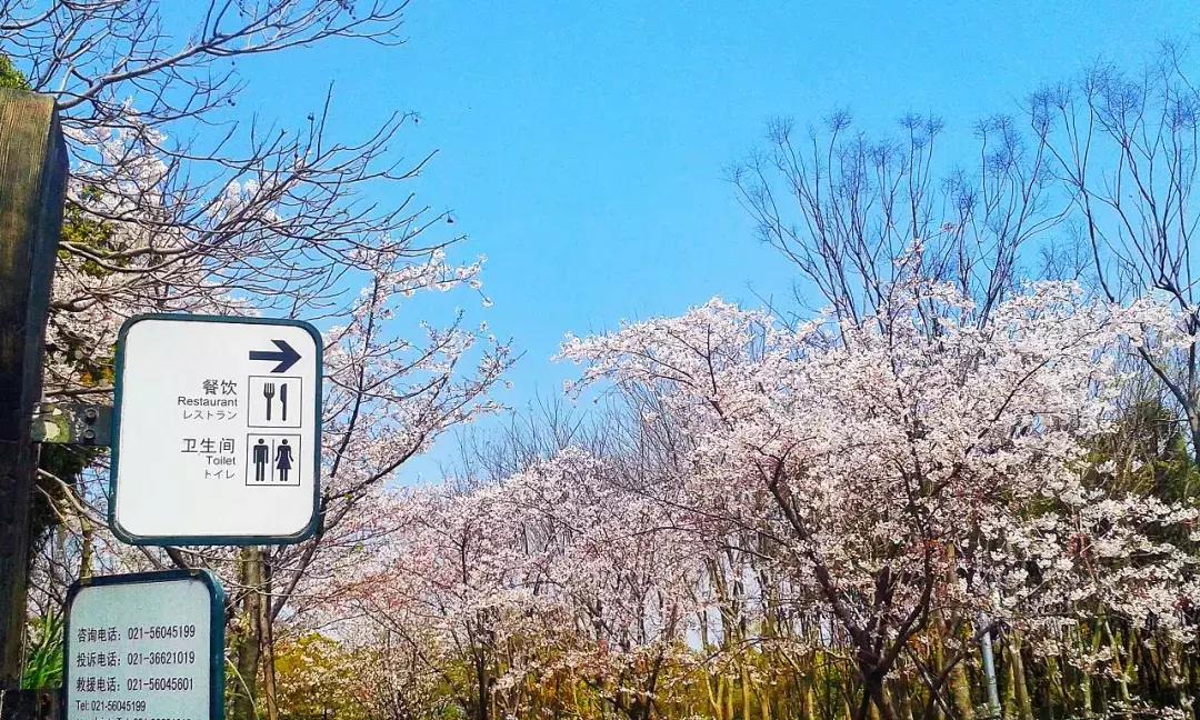 上海地铁1号线首末车时间最新,上海地铁最新首末班车时间