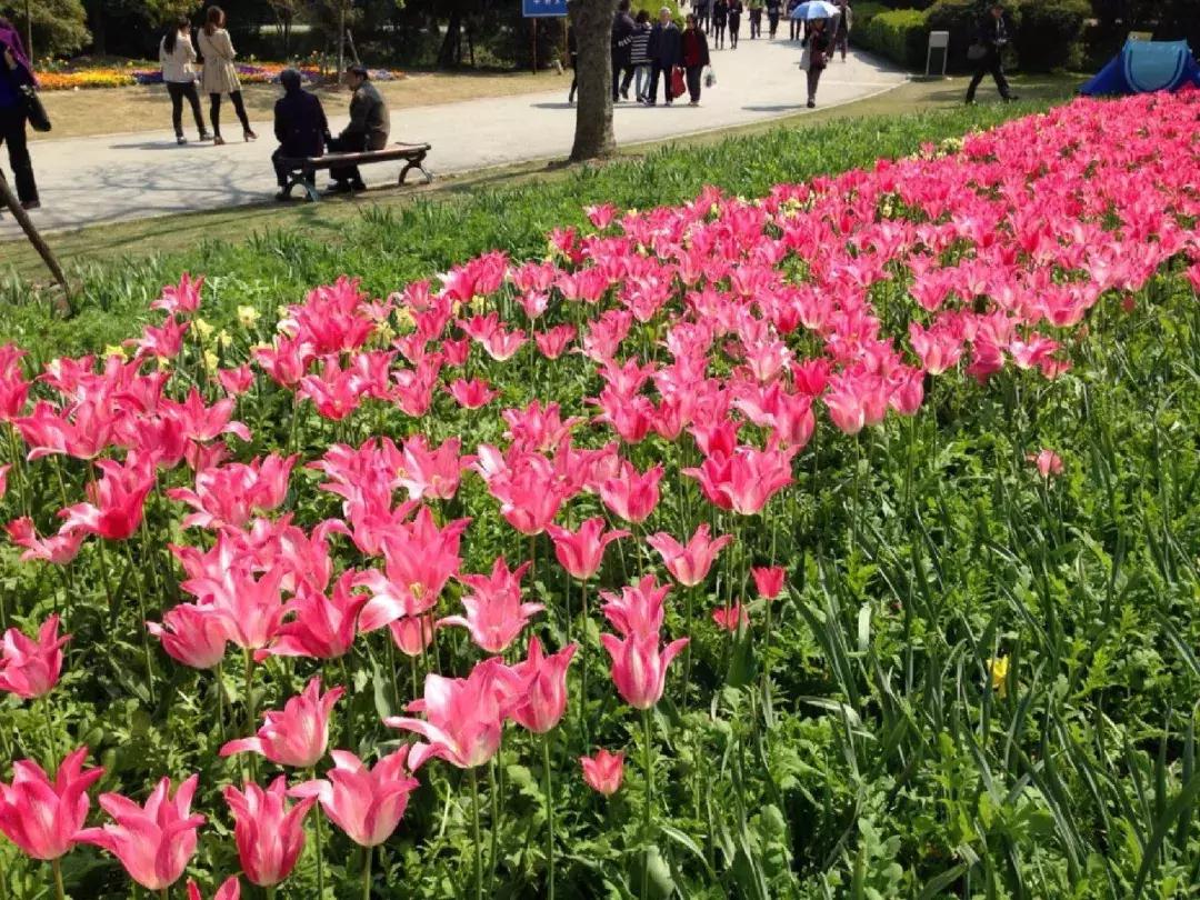 上海地铁1号线首末车时间最新,上海地铁最新首末班车时间