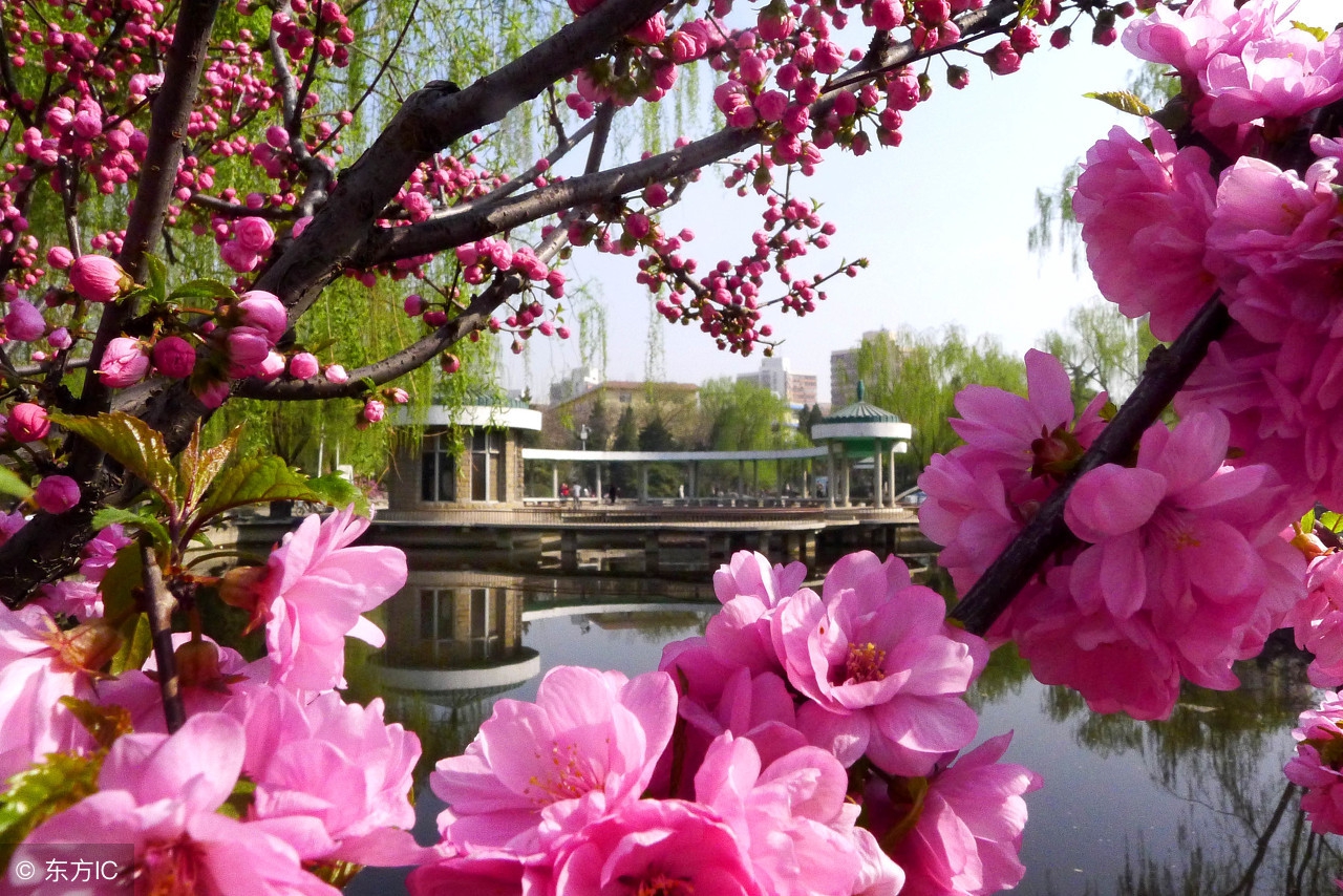 财运低迷如何招财,教你如何催旺财运