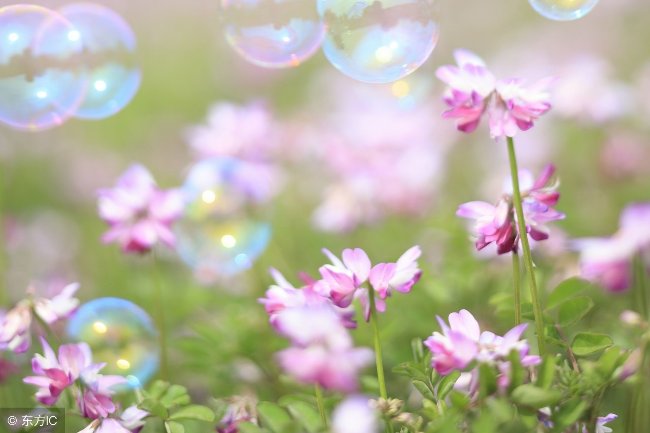 财运低迷如何招财,教你如何催旺财运