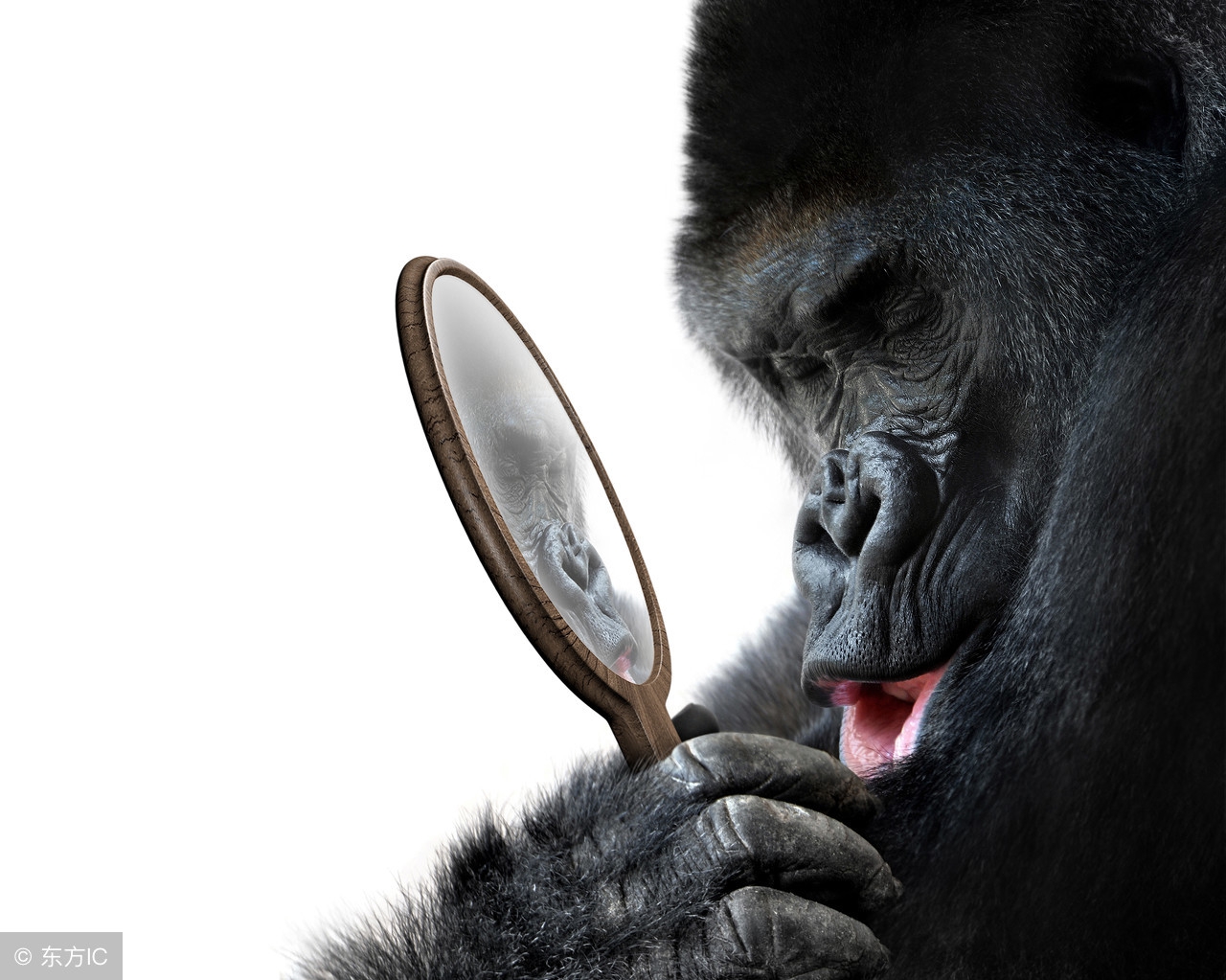 创业灵感的来源实例分析,创业从一个简单的创意开始