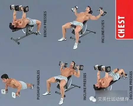 盆底修复哑铃的正确锻炼方法,中学生哑铃的正确锻炼方法