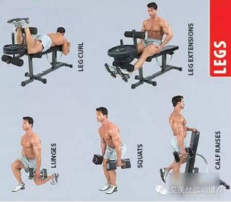 盆底修复哑铃的正确锻炼方法,中学生哑铃的正确锻炼方法