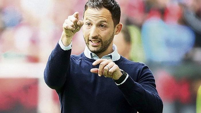 沙尔克04年轻教练,德甲主教练新赛季