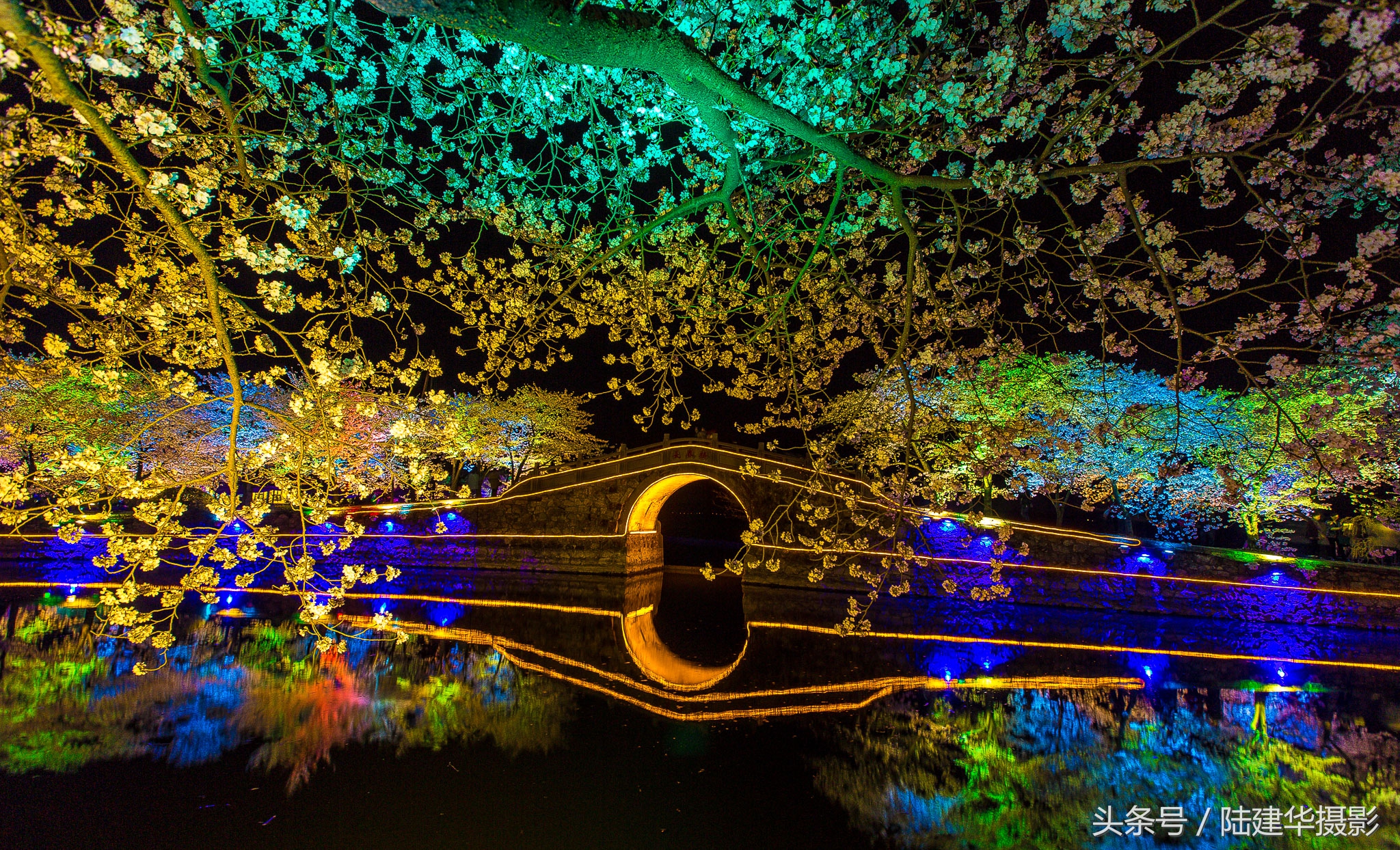 太湖赏樱花鼋头渚旅行攻略,太湖鼋头渚风景区看樱花旅游攻略