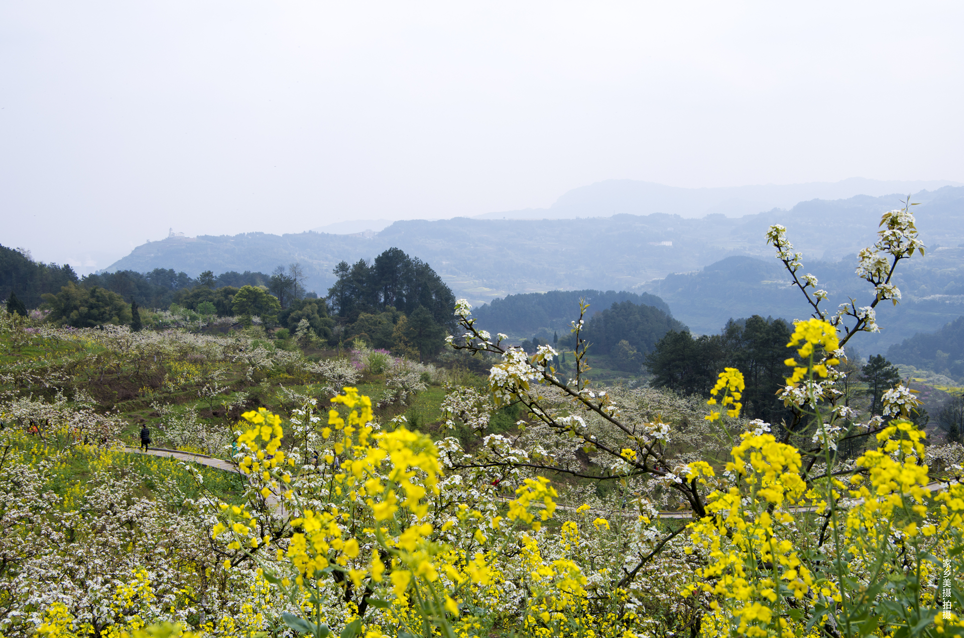 最美城市綦江,山水之城美丽之地重庆綦江
