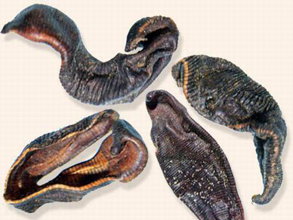 李祥云中医,中医专家李祥云