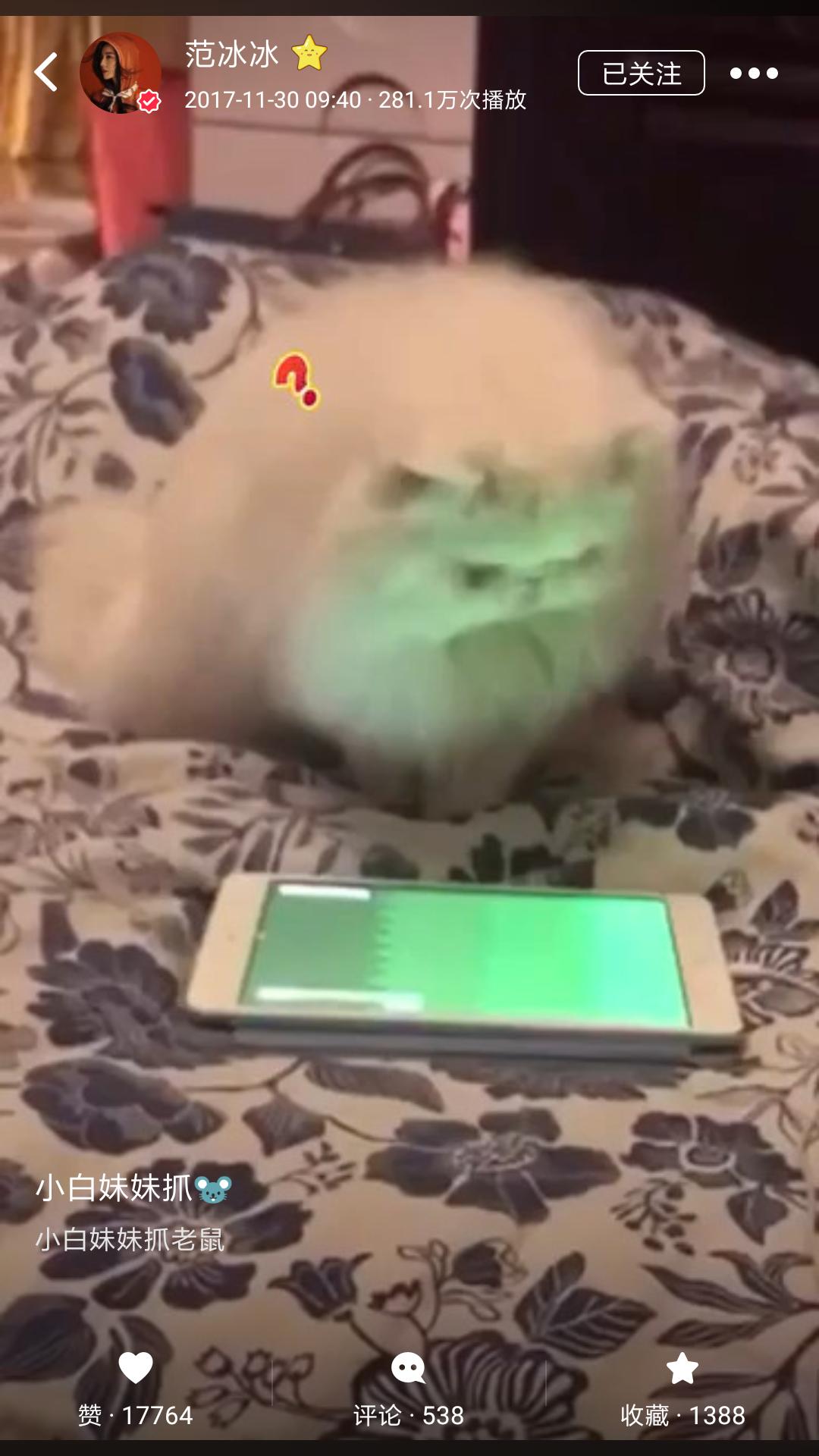 从美妆博主转为化妆博主,从美妆博主变为美妈博主