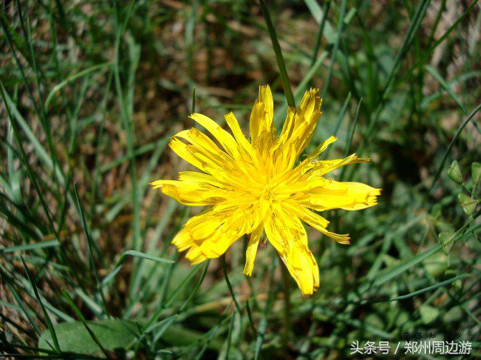 郑州人真正的后花园,郑州人少环境好的地方