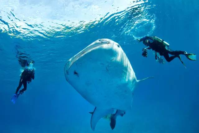 菲律宾宿务旅游攻略,菲律宾宿雾海岛之旅