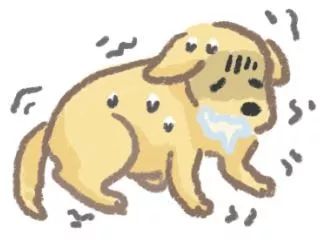 狗狗的这18种行为你真的懂了吗,狗狗的的几种行为不要弄错了