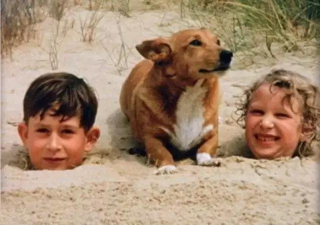 站着的霍金的照片,希拉里和霍金