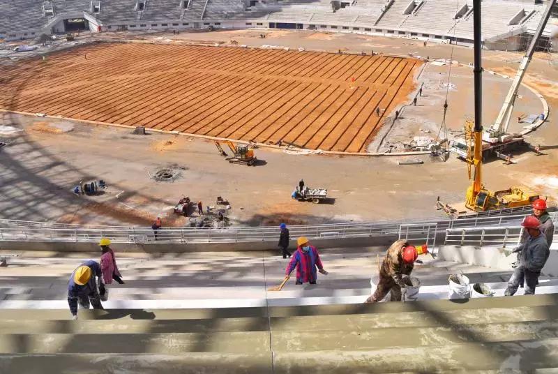 咸阳鸟巢今天有什么活动,咸阳鸟巢全景