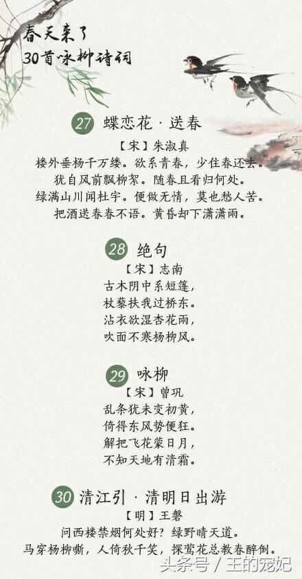 咏柳经典诗词100首,贺知章描述春天柳树的诗句