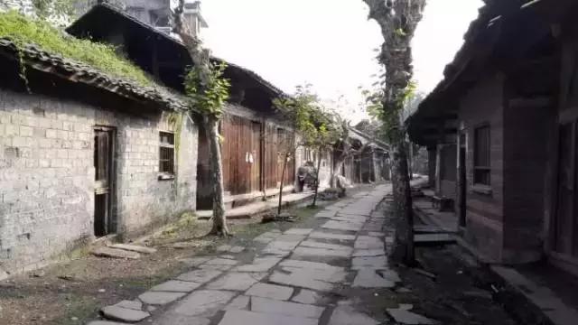 乐山市中区附近免费景点,乐山周边美丽乡村