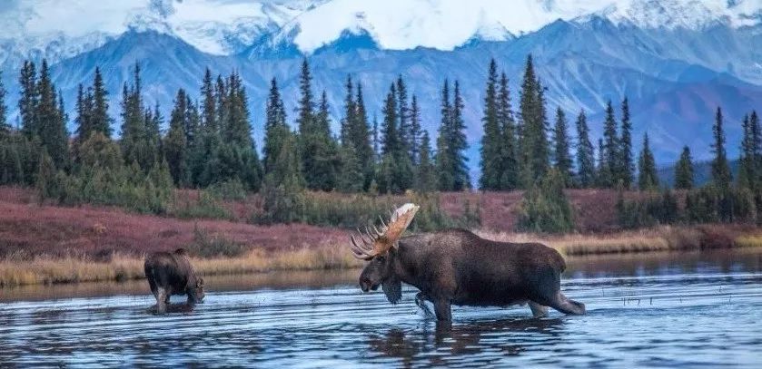 诺唯真喜悦号2024年航线,诺唯真喜悦号邮轮下水纪录片