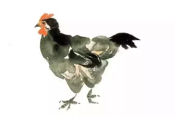 写意小鸡画法教学视频,徐湛小鸡写意画法